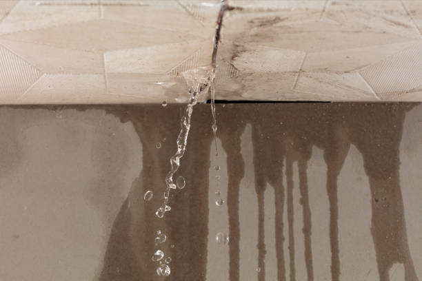 Professional Sewage Cleanup technician working in Lucerne, CA